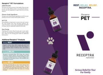 Pet Brochure (Tri-fold) - Print or Download